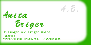 anita briger business card